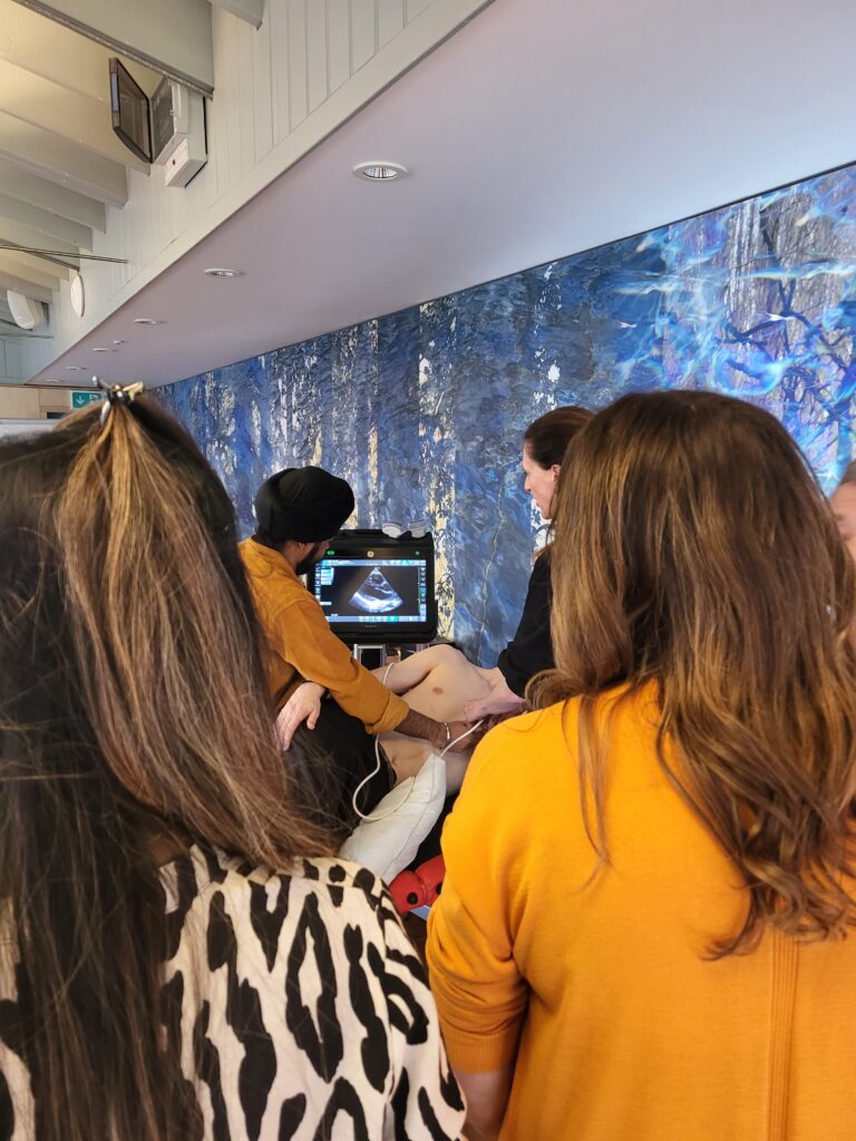 Point-of-Care Ultrasound Training for Critical Care Clinicians with BOX Courses